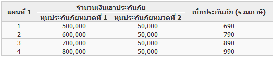 ประกันอัคคีภัยแบบประหยัดสำหรับรายย่อย – เจ้าพระยาประกันภัย