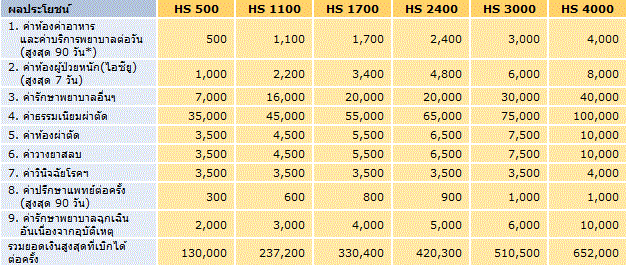 สัญญาเพิ่มเติมคุ้มครองสุขภาพในกรณีผู้ป่วยใน (HS, HSC, HSP ) – อยุธยาอลิอันซ์ซี.พี.ประกันชีวิต