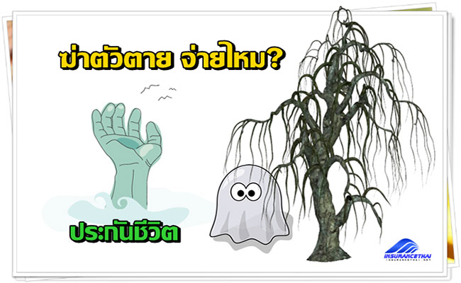 ทำประกันชีวิต ฆ่าตัวตาย จ่ายไหม?