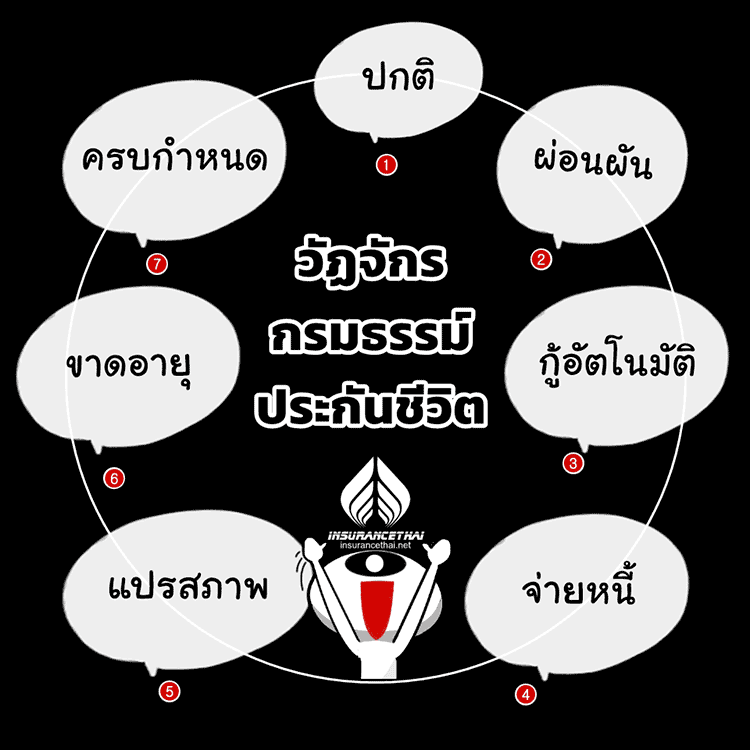 วัฏจักรกรมธรรม์ประกันชีวิต