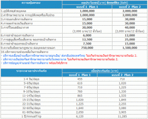 เมืองไทย Enjoy Travel - เมืองไทยประกันภัย