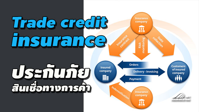 การประกันภัยสินเชื่อทางการค้า Trade Credit Insurance